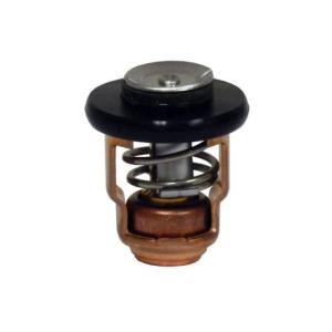 Thermostat for Yamaha 9.9-250 HP 6E5-12411-30